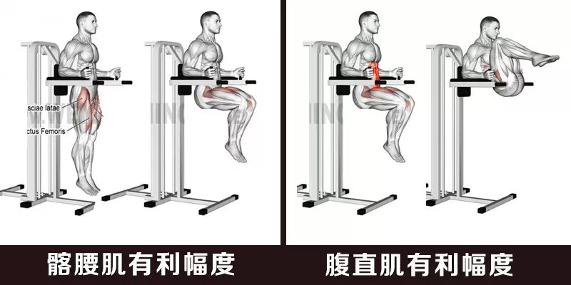 腰疼深蹲硬拉还能练什么力量,深蹲硬拉腰太弯了