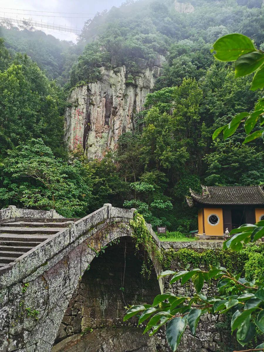 书藏古今港通天下,书藏古今港通天下央视