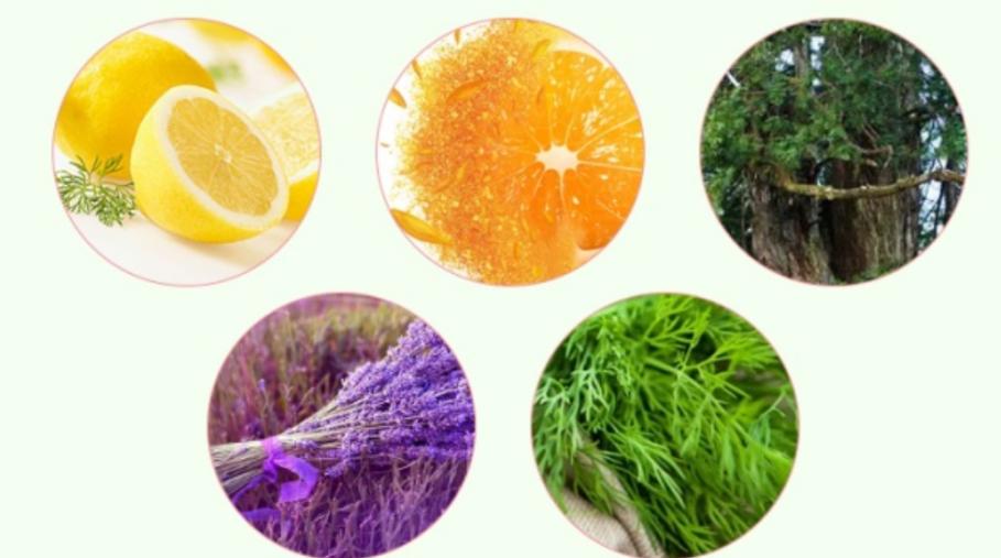 新垣结衣每一帧都让人心动,新垣结衣笑容甜美清新脱俗