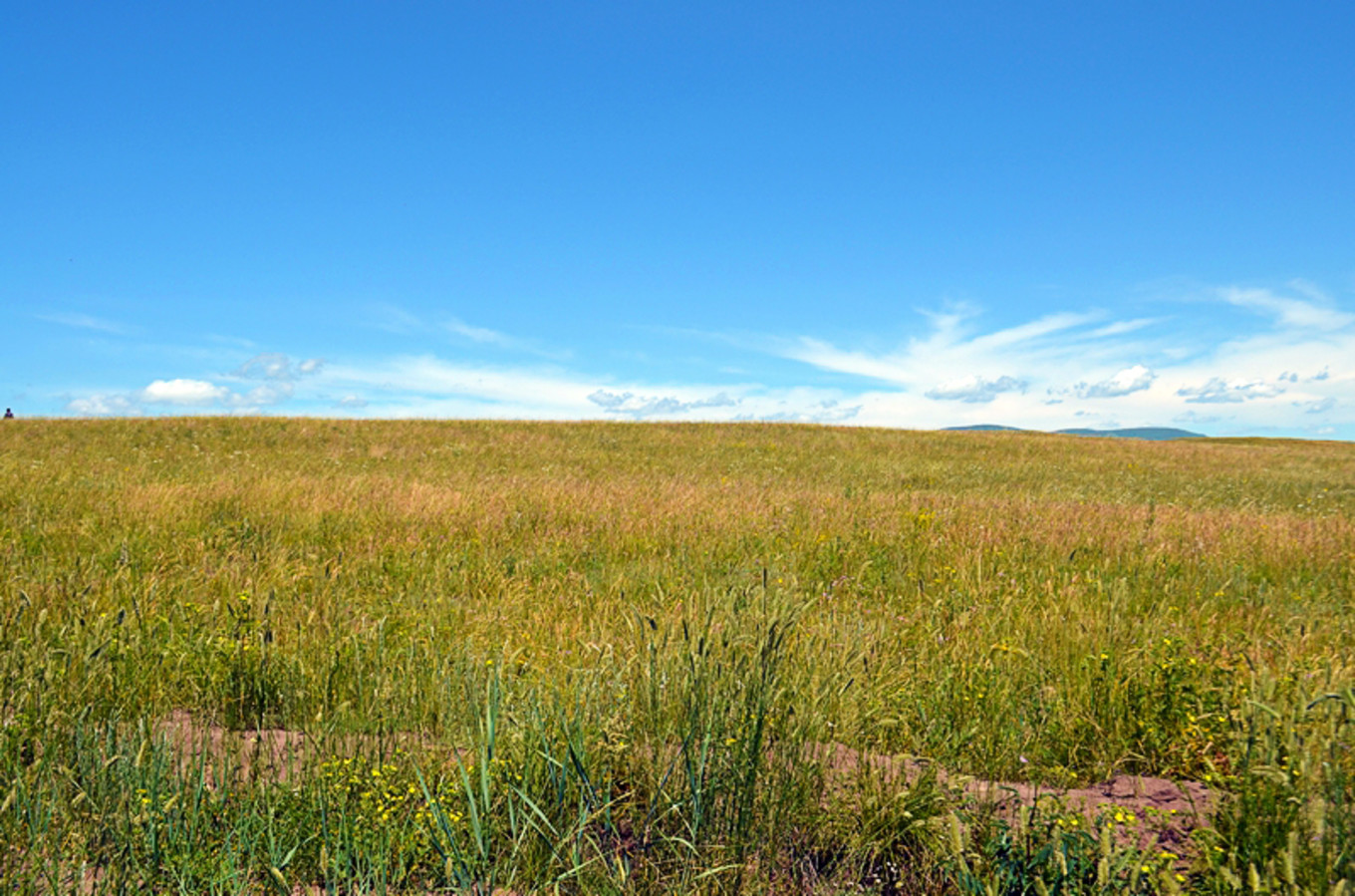 乌珠穆沁草原狼图腾,狼图腾草原魂歌曲