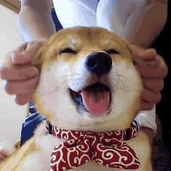 老中医教你一招彻底解决脂肪粒,肚子里面有脂肪粒怎么解决