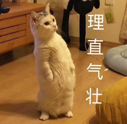 mac不脱妆口红推荐,有哪些很好用的网红款口红