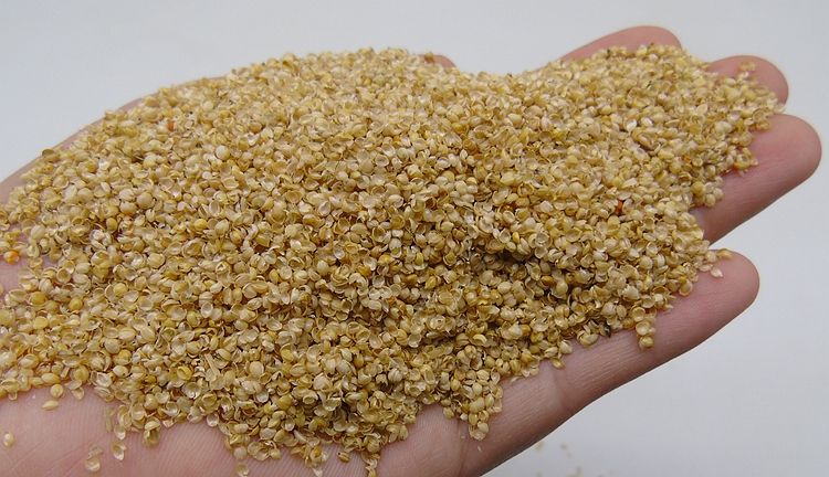 花生壳做燃料颗粒机,颗粒机生物质燃料制作过程