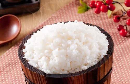 閲庨蹇呭椋熺墿绱彍鍖呴キ,閫傚悎閲庨绱彍鍖呴キ