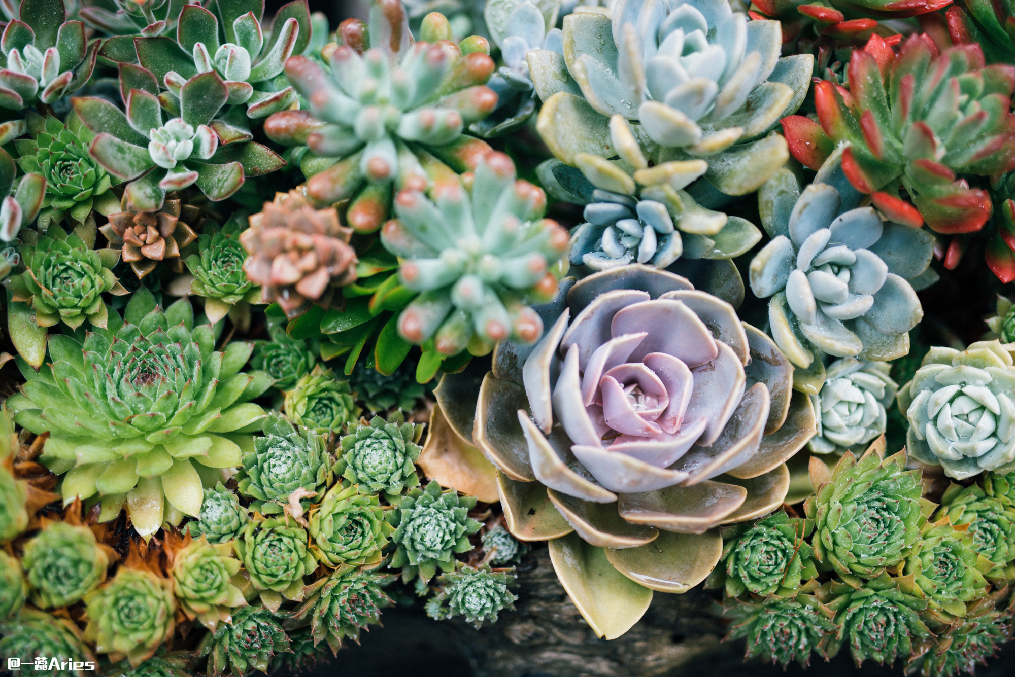 大理环洱海自驾游最佳攻略,大理环海岸线自驾游