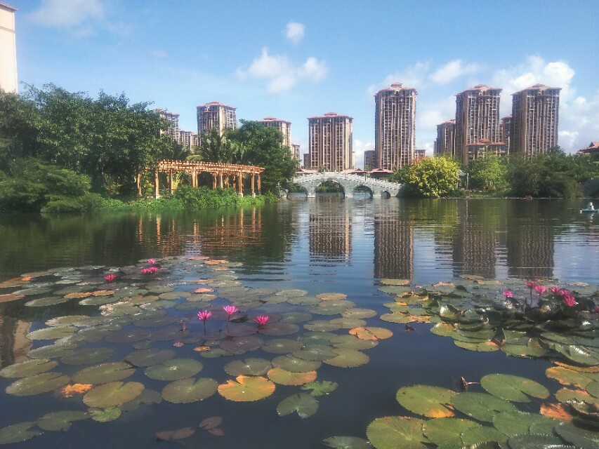 房地产项目融资计划书,房地产融资计划书