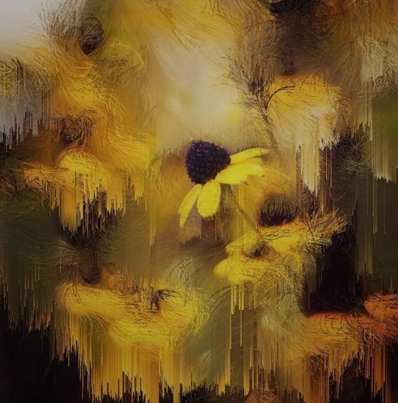 摄影教程app十大排名,学习摄影后期课程的app