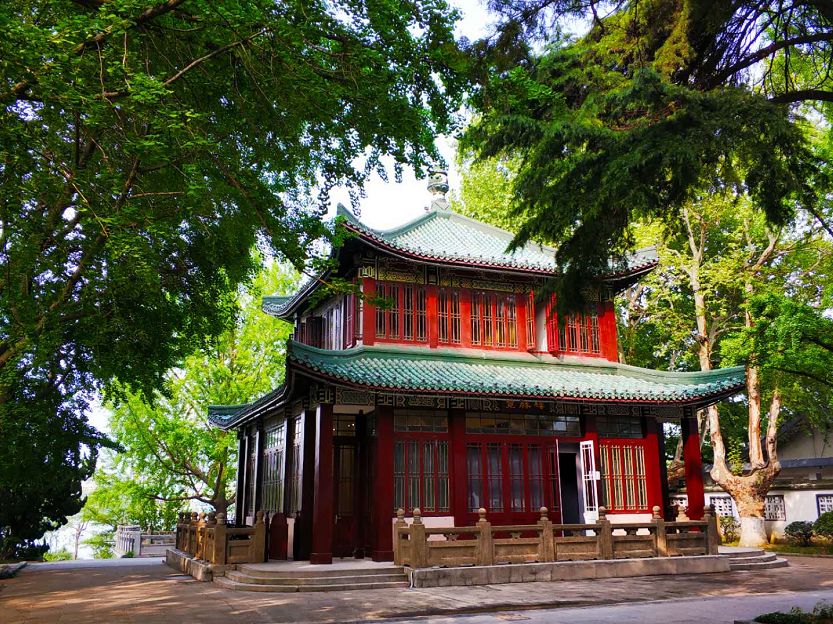 五一南京旅行全攻略,南京到处都是小虫子