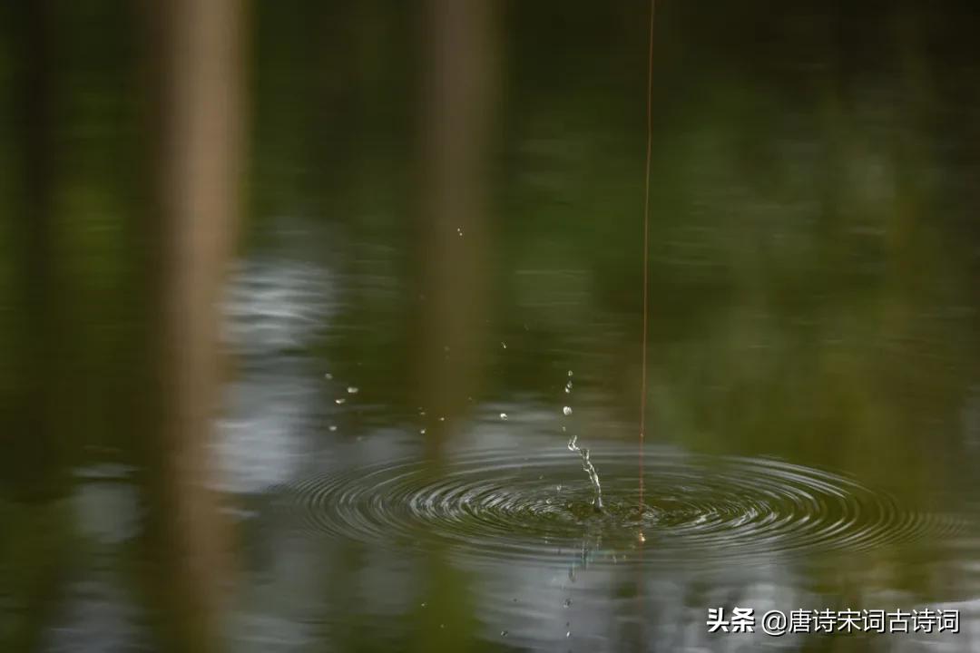 钓鱼之乐,钓鱼之乐不在于鱼文言文