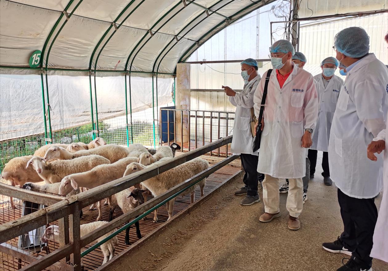 创新发展思路补齐发展短板,创新突破产业突围