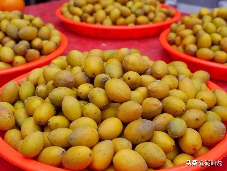 潮汕什么时候橄榄代替槟榔,潮汕吃槟榔的习俗