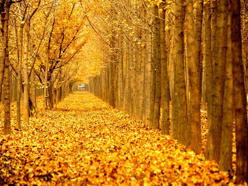 沈阳温泉酒店住宿哪家最好,沈阳清河湾半岛温泉酒店