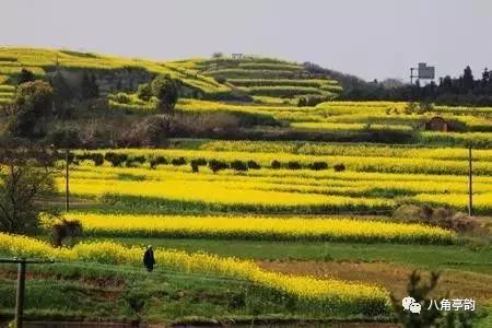 今夜，古角从心中流过