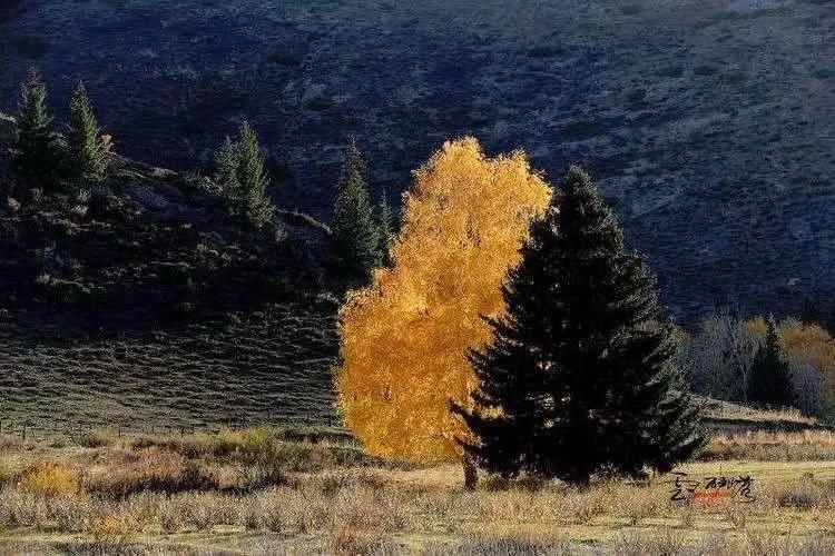 一叶访谈|非常时期，听侃侃轻唱流年