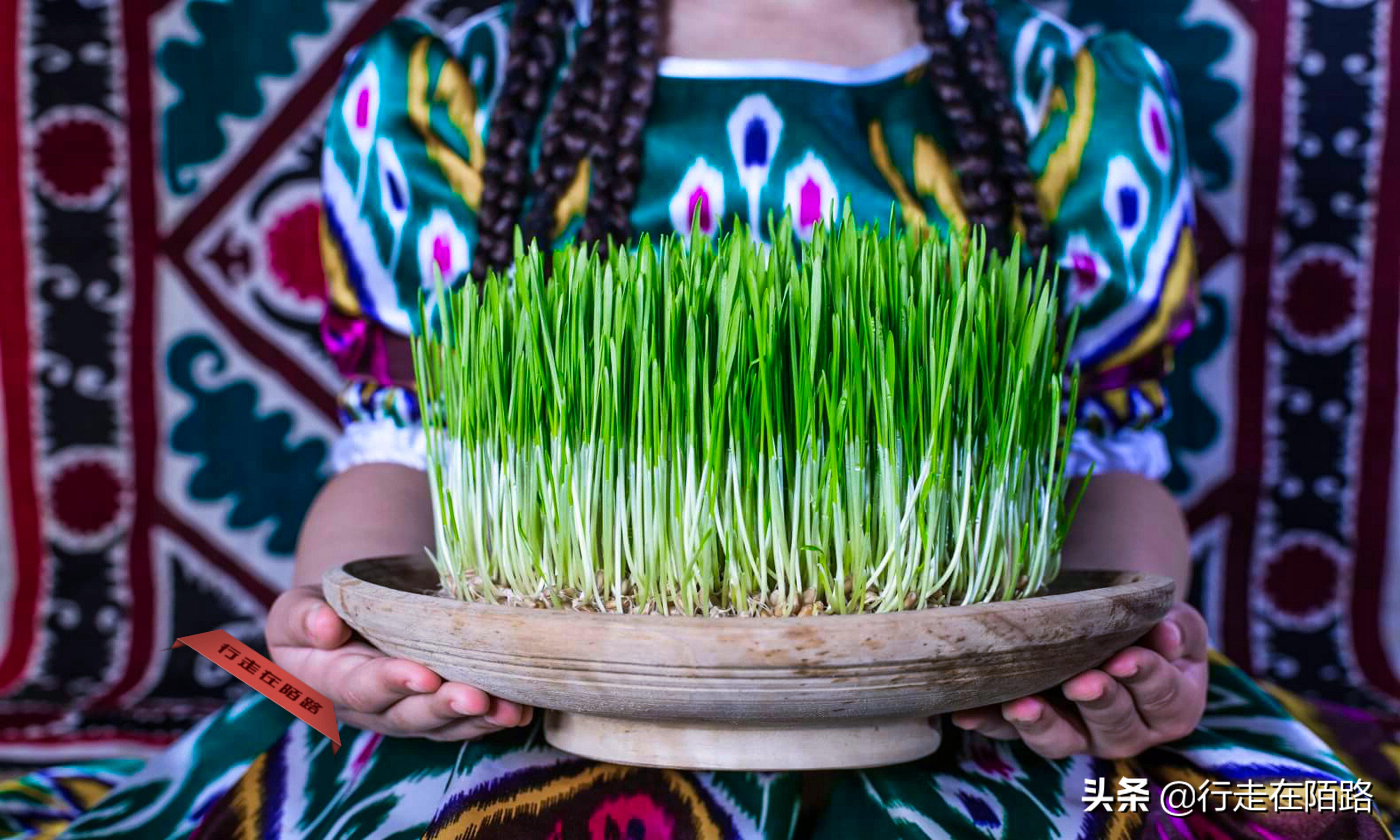 伊朗新年最新消息,伊朗新年最新动态