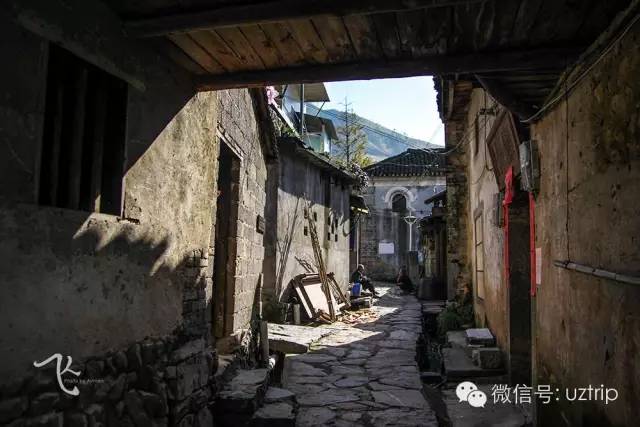 桂林兴安漠川银杏最佳观赏时间,桂林兴安漠川银杏网红打卡地