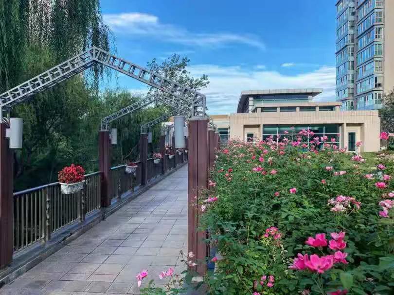 季景沁园风景,季景沁园位置