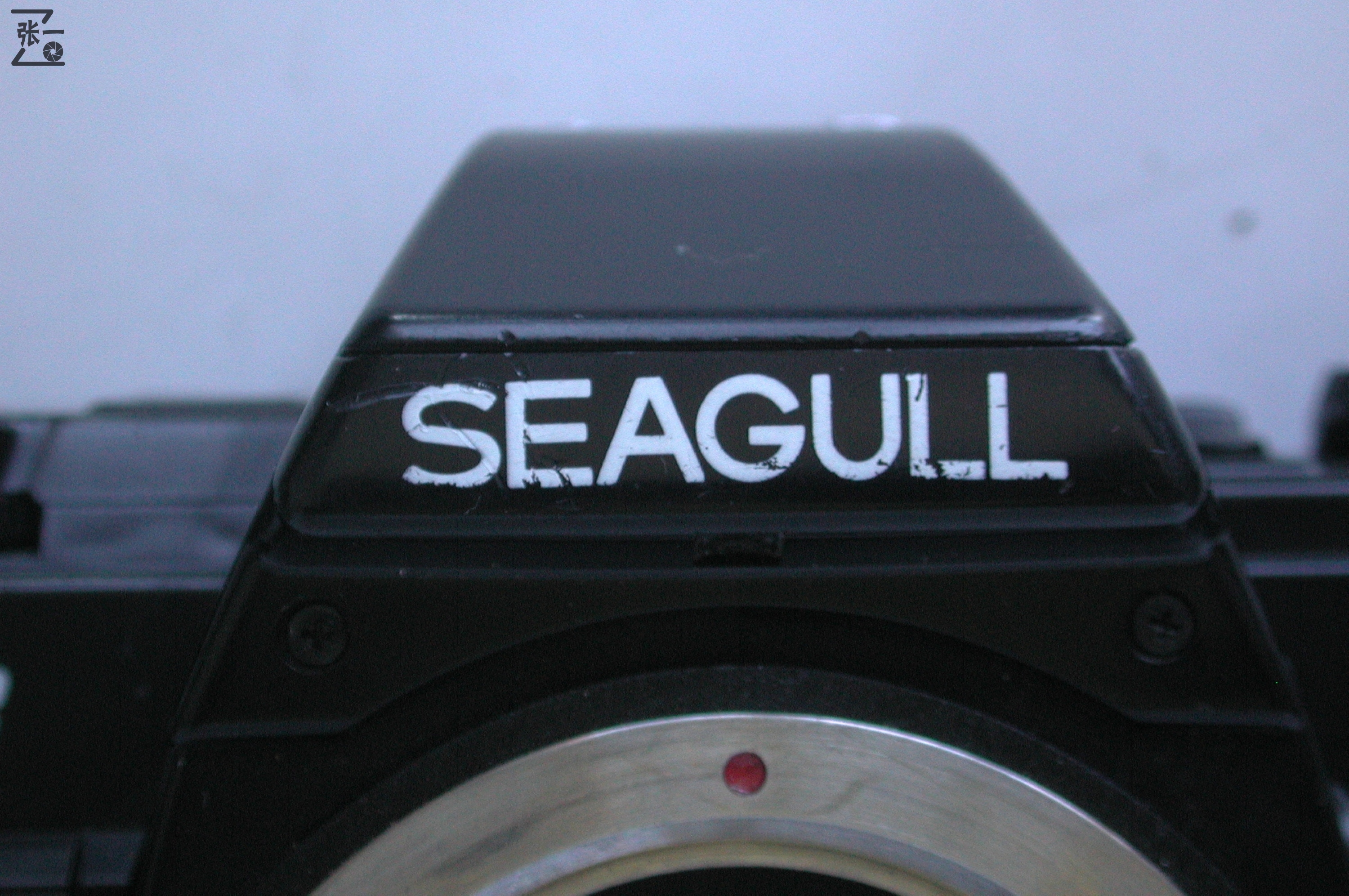 海鸥df单反相机价格,海鸥df-100相机介绍