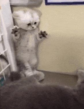 羞耻爆表！这男星演少女太上头，看得我藏在被窝连刷10集