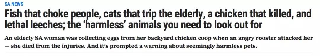 澳洲加油站怎么加油,澳洲加油站最省钱的方法