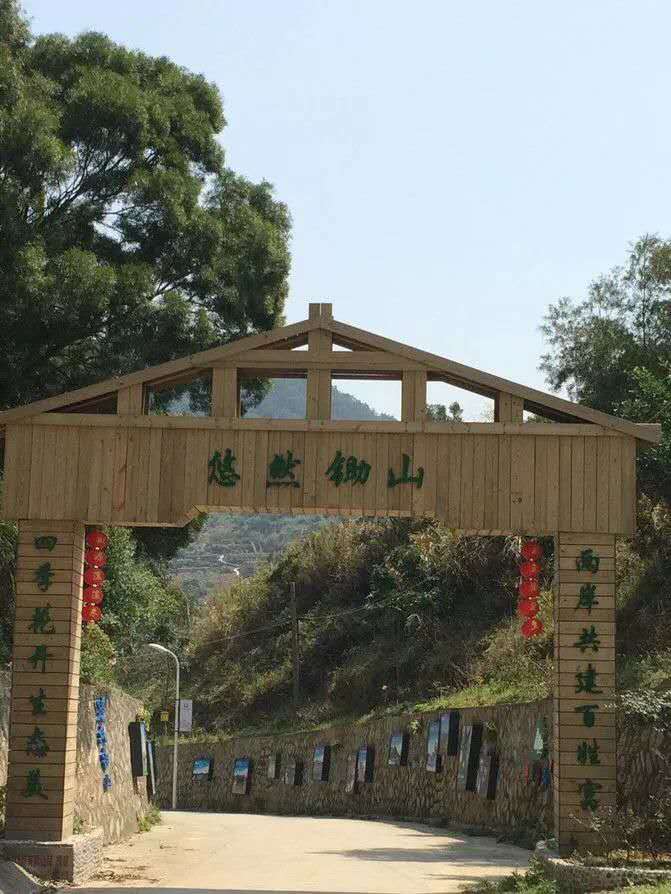 一年四季都暖和城市,厦门是一座四季如春的城市