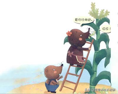 耐心的玉米绘本故事,7-10岁有声绘本故事简单