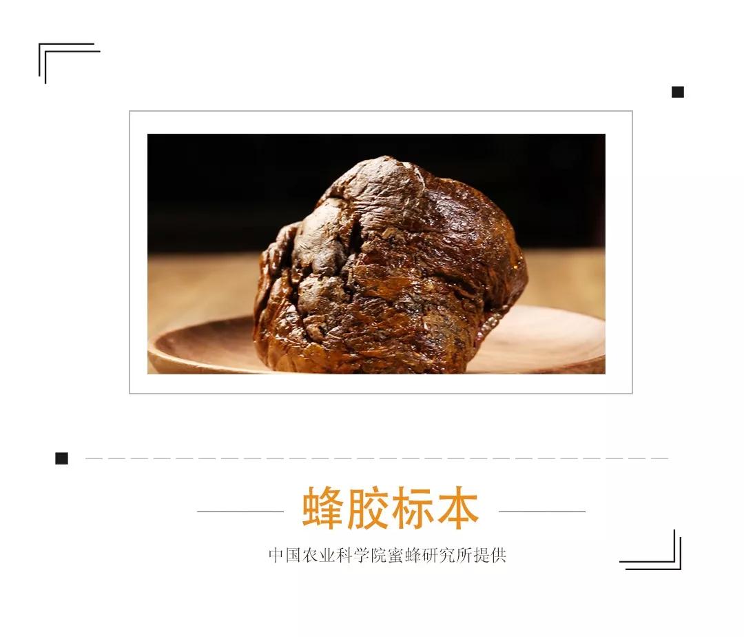 农科院研发的纯植物护肤品,农科院研究的护肤品