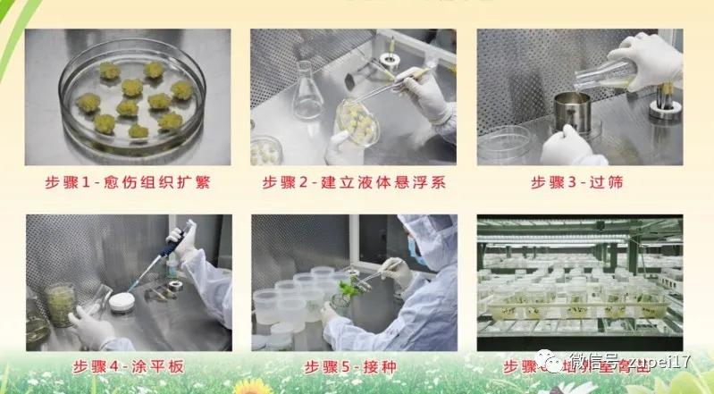 净化空调过滤网,医用净化空调