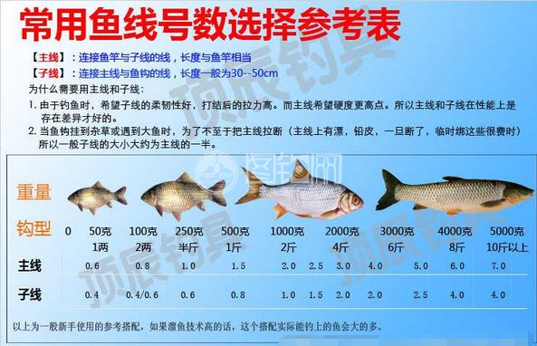 鱼线绑别针方法图解,鱼线和竿梢绑法图解