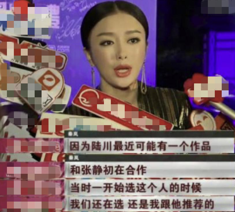 张静初陶虹回应吃素被骂惨,张静初这些年都经历了些什么