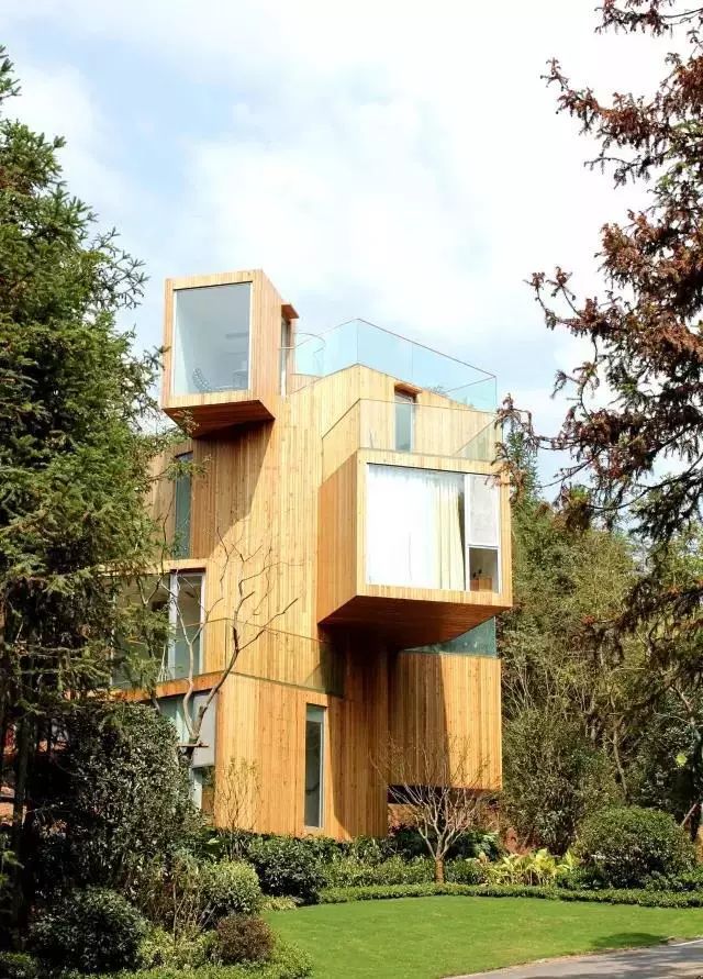 真正的森林树屋,这些树屋满足你对森林的所有幻想