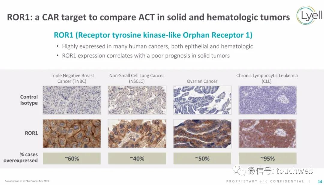 肿瘤免疫治疗公司Lyell冲刺美股：年亏2亿美元路演PPT曝光