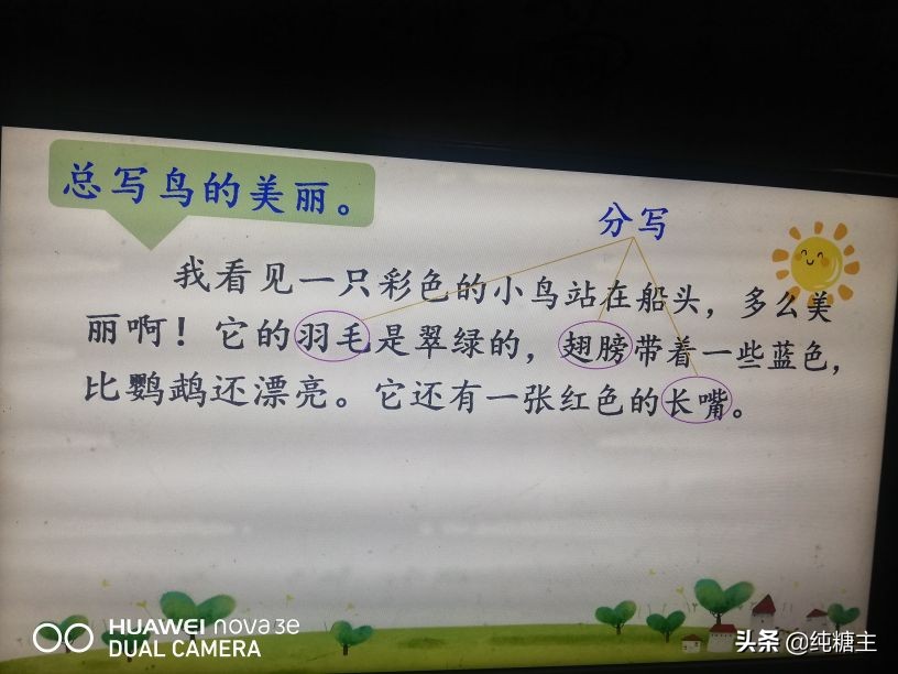 三年级语文上册搭船的鸟预习笔记,三年级搭船的鸟课文笔记