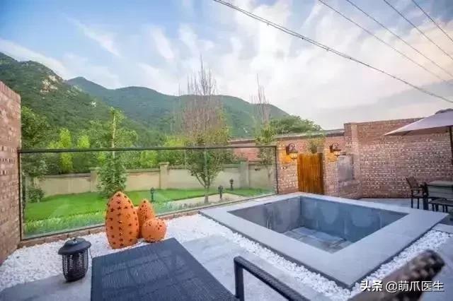 上海可带宠物入住的酒店推荐,怎么选宠物友好酒店房间