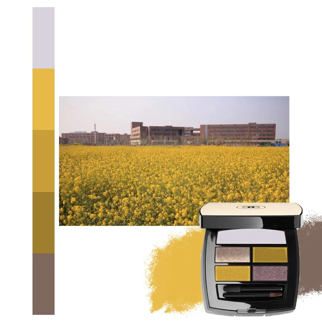 鐩存挱閭兏娌冲寳宸ョ▼澶у,娌冲寳宸ョ▼澶у缇庡