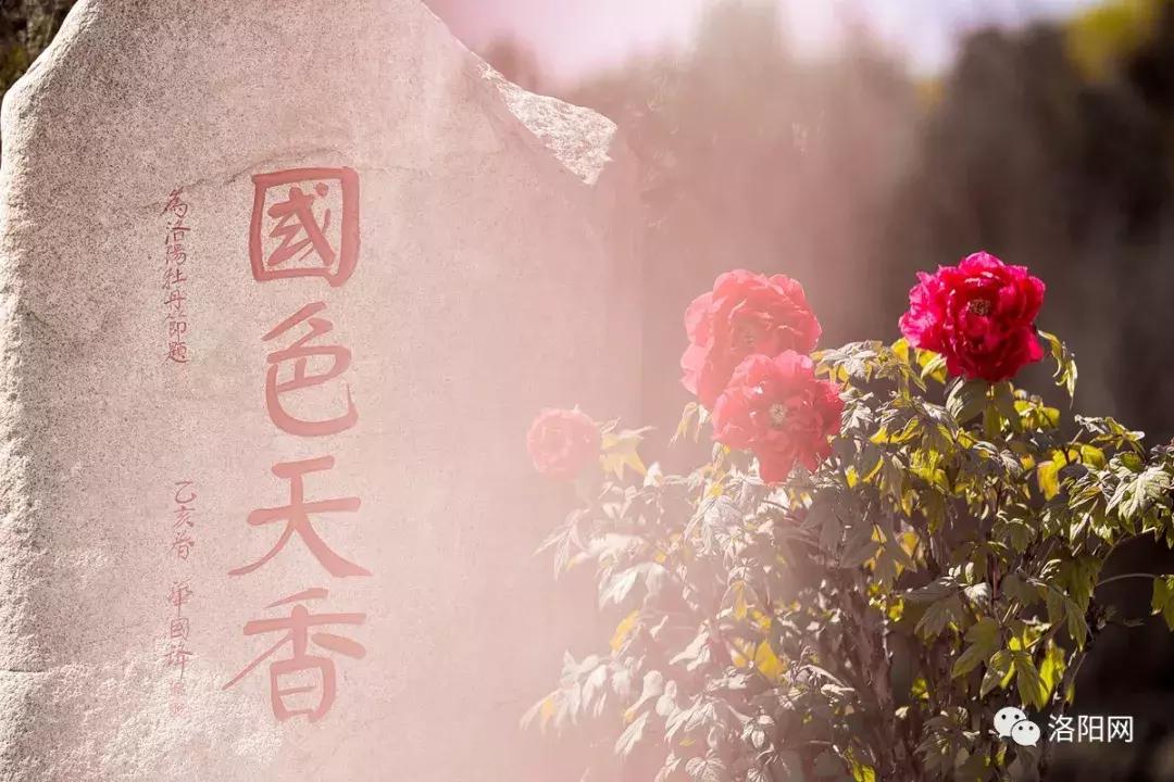 洛阳向全球推介,洛阳向世界发出邀请