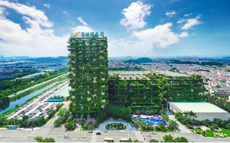 碧桂园进军农业,碧桂园进入多少个县