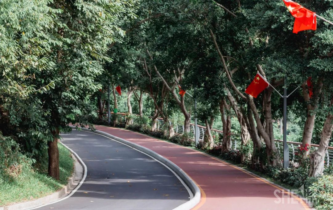 罗湖发达吗,罗湖区的实力到底有多强