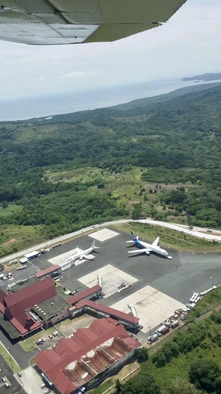 帕劳太平洋水族箱,潜水胜地帕劳水族箱