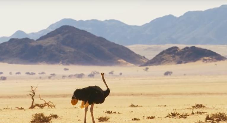 9.9恋爱游戏,9.9分恋爱番