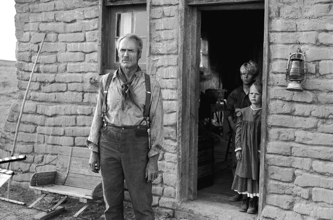 他有5座奥斯卡奖杯，新作票房却只有几百万