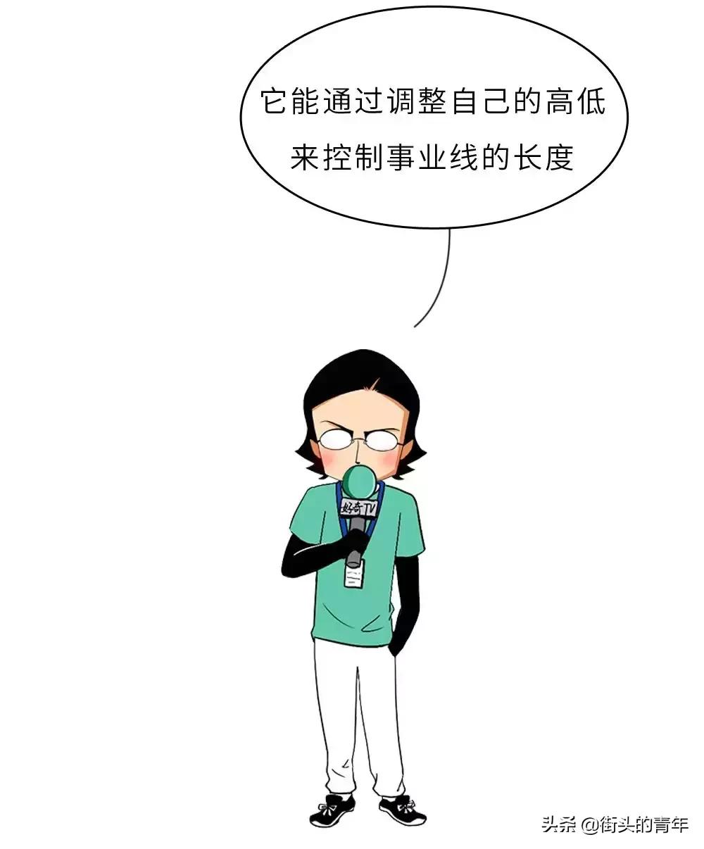 你对女生的内衣根本一无所知