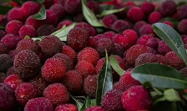 清洗杨梅时有小虫可以吃吗,洗杨梅别只会用盐