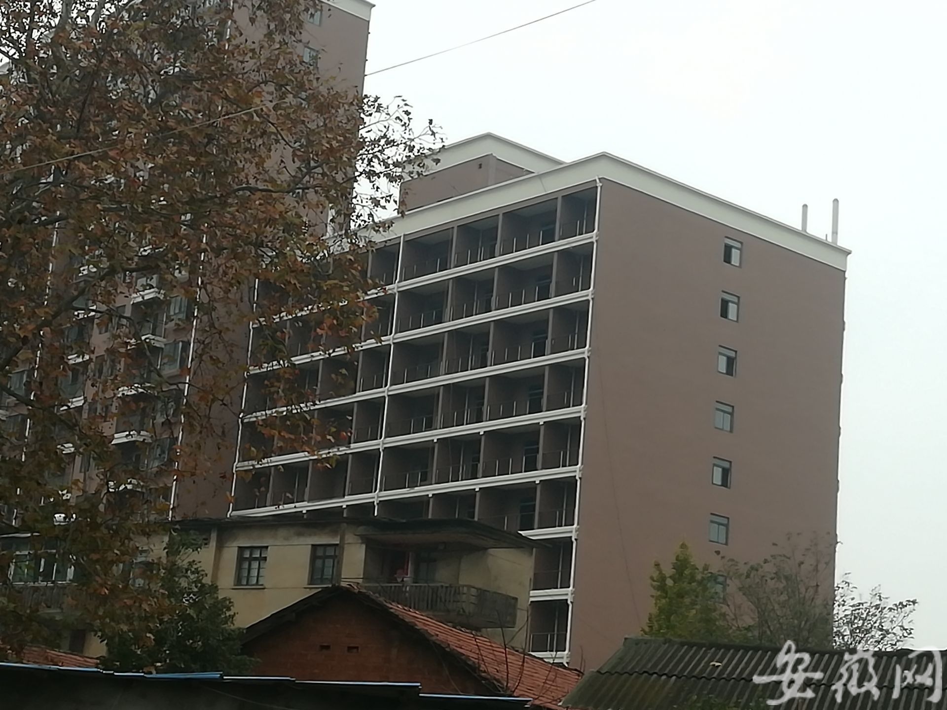 起底“女魔头”劳荣枝：在家排老五，母亲生病生活贫困，毕业后当老师待遇低，父亲去世时仍在逃亡