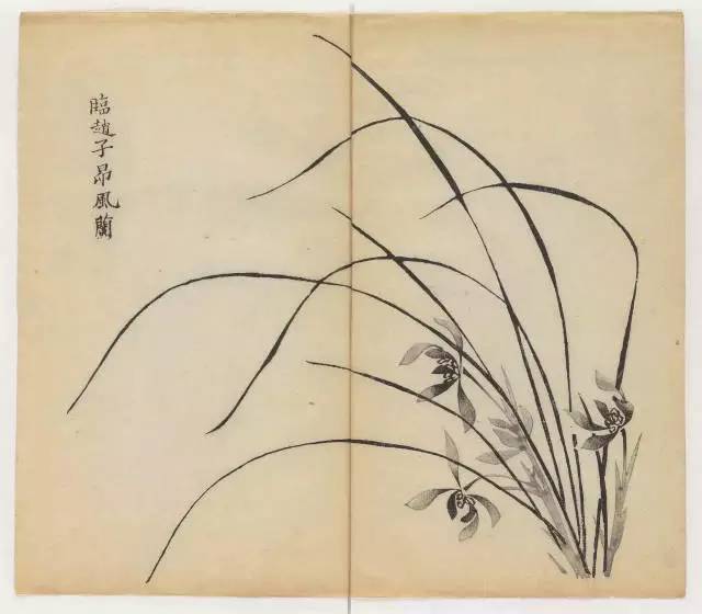 毛笔怎么画兰草,怎么画兰花和书法