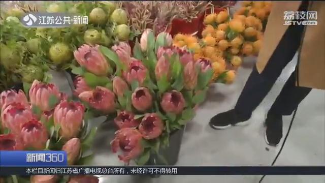 玫瑰一元、百合两元！探访南京最大花市鲜花卖出“白菜价”