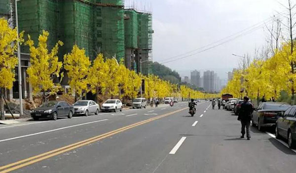 九州起航,九州新城位置