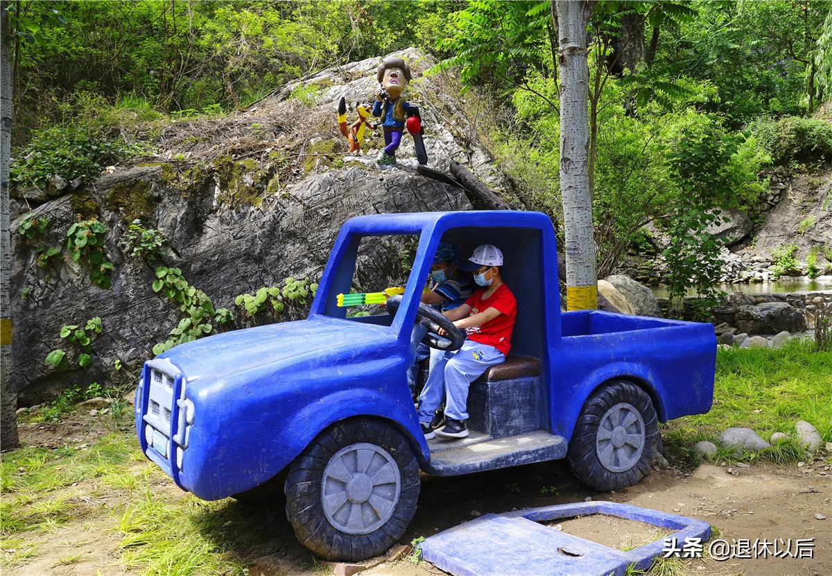 森林中的童话树屋,原始森林里的童话世界