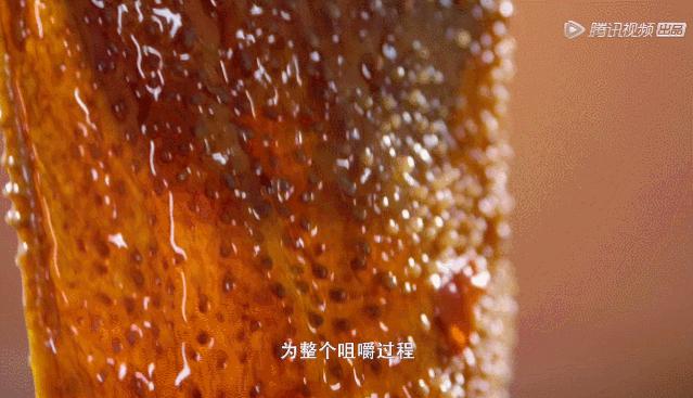 北方人来重庆吃火锅,来重庆吃火锅了吗