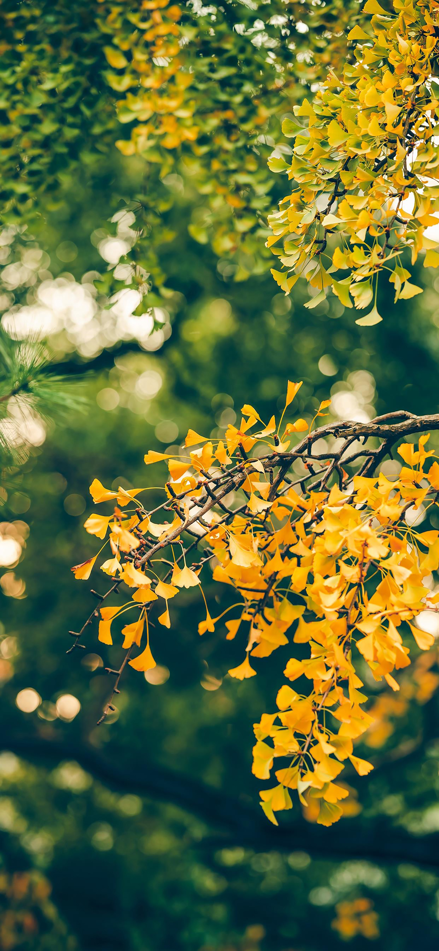 孤独失落伤感风景的高清壁纸,时光浓淡相宜的壁纸